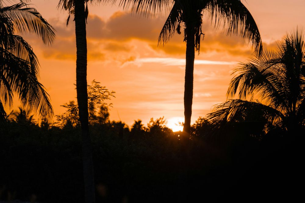 Sunset in the 10 Best Nightclubs in Cancún