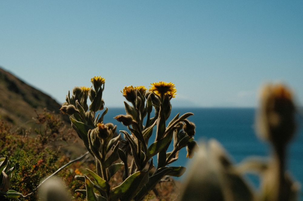 Seaside in Caniçal close to Funchal in the Best itinerary of Madeira