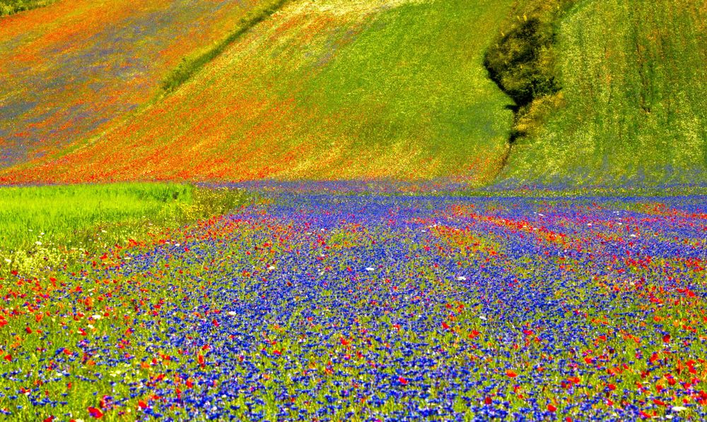 Castelluccio field in Italy's Hidden Gems