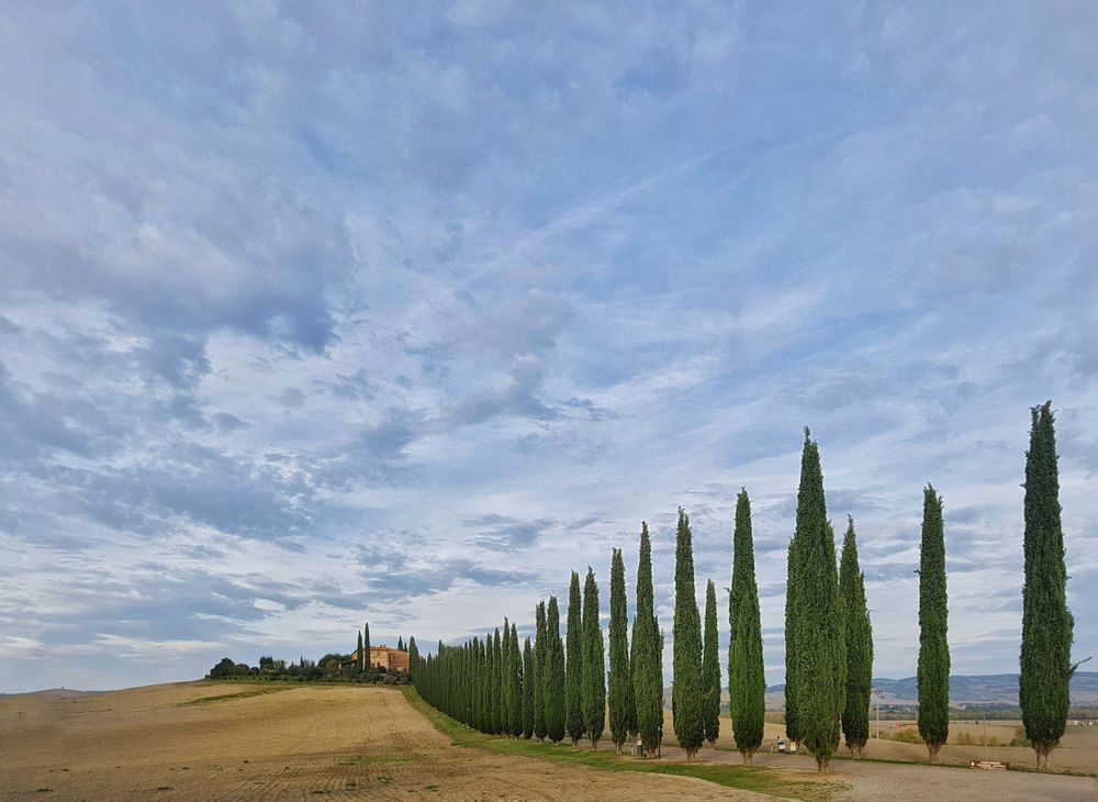 The Best Tuscan Souvenirs 10 Amazing Gift Ideas