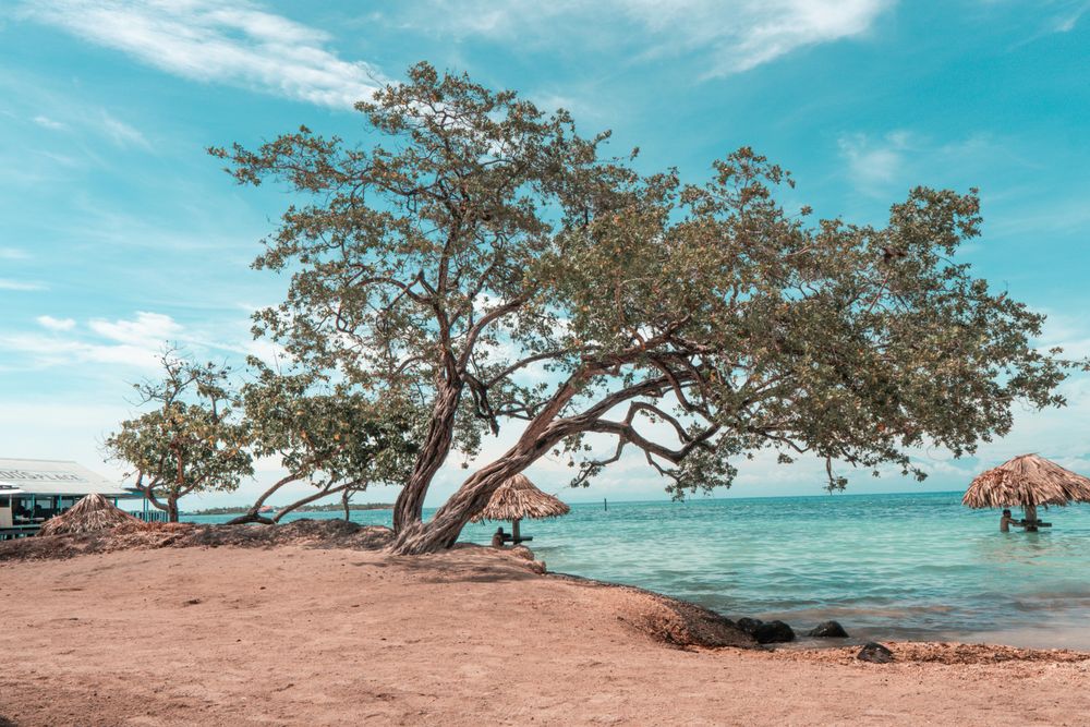 A beach in Utila, Honduras, one of the Destinations That Could Benefit from Responsible Tourism