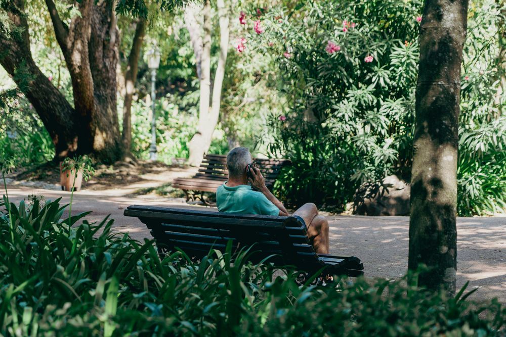 Jardim da Estrela one of the Best Free Things to Do in Lisbon