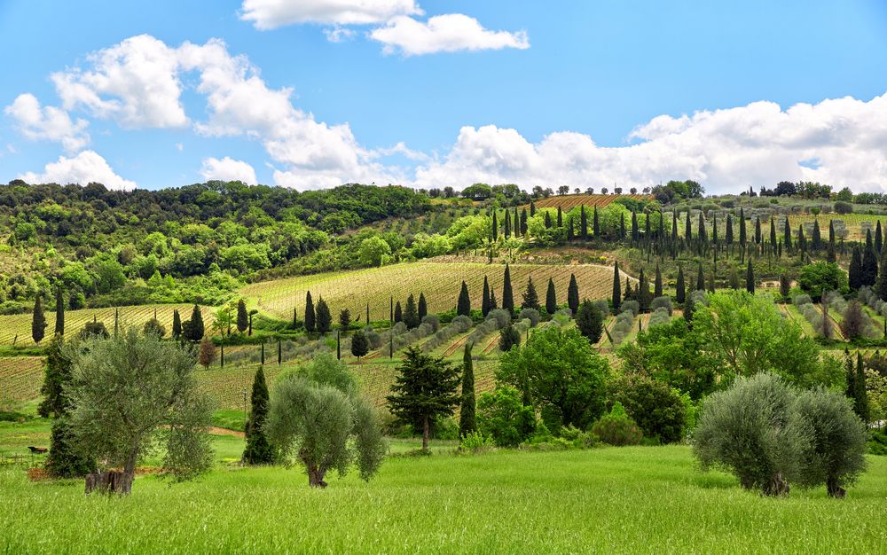Landscape in Tuscany, one of the best travel destinations in Italy