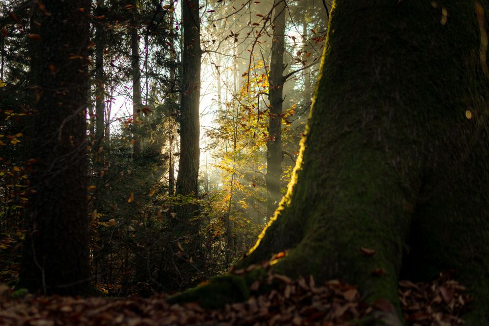Ljubljana’s Tivoli Park one of the 20 Top Attractions in Slovenia