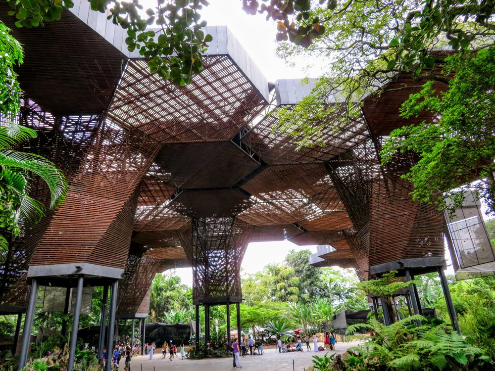 Un jardín en Medellín, Colombia en Los Mejores Destinos para Nómadas Digitales en 2025