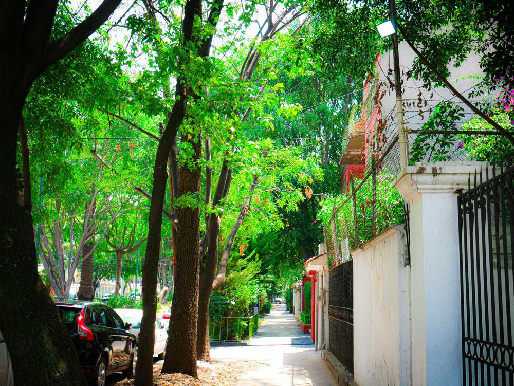 Barrio de Polanco en Ciudad de México, México en Los Mejores Destinos para Nómadas Digitales en 2025