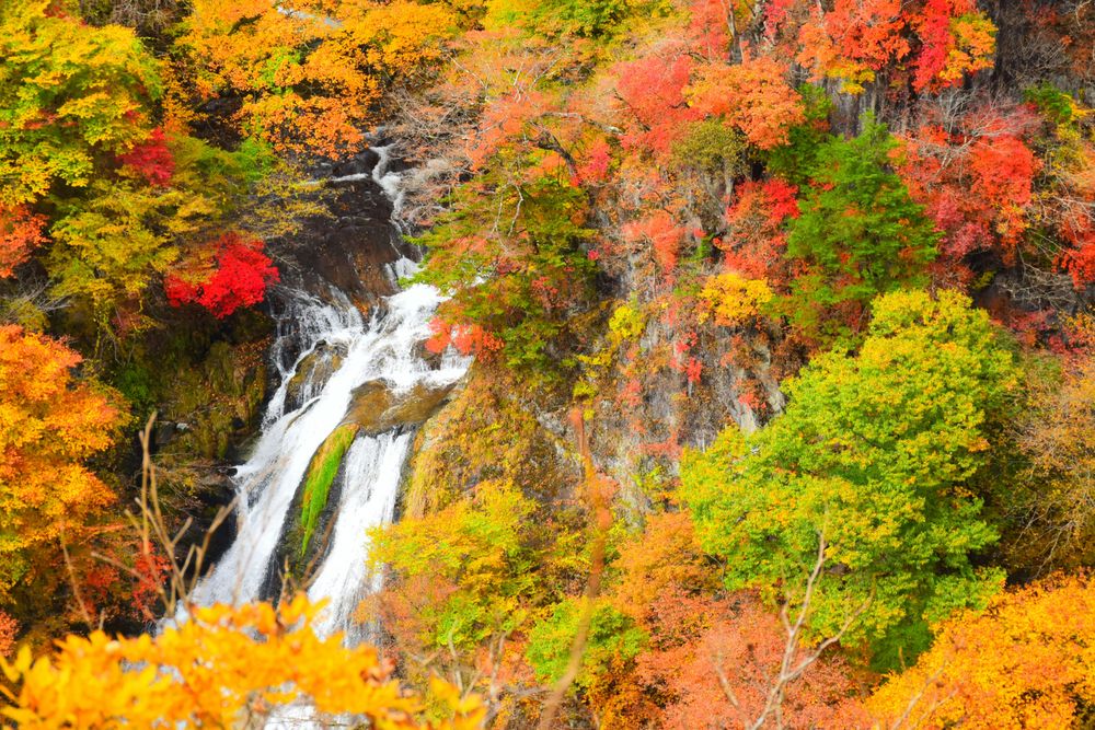 Water falls in the woods in Nikko as One of The Best Places in Japan
