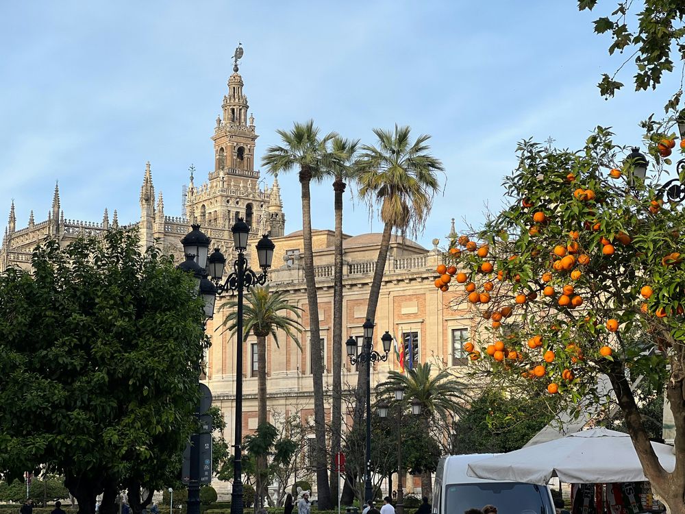Real Alcázar of Sevilla in the Best Things to Do in Sevilla