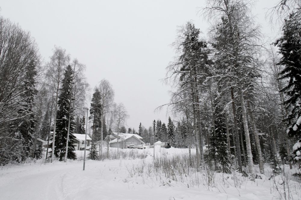 Rovaniemi, Finland one of the Best Winter Destinations for 2024/2025