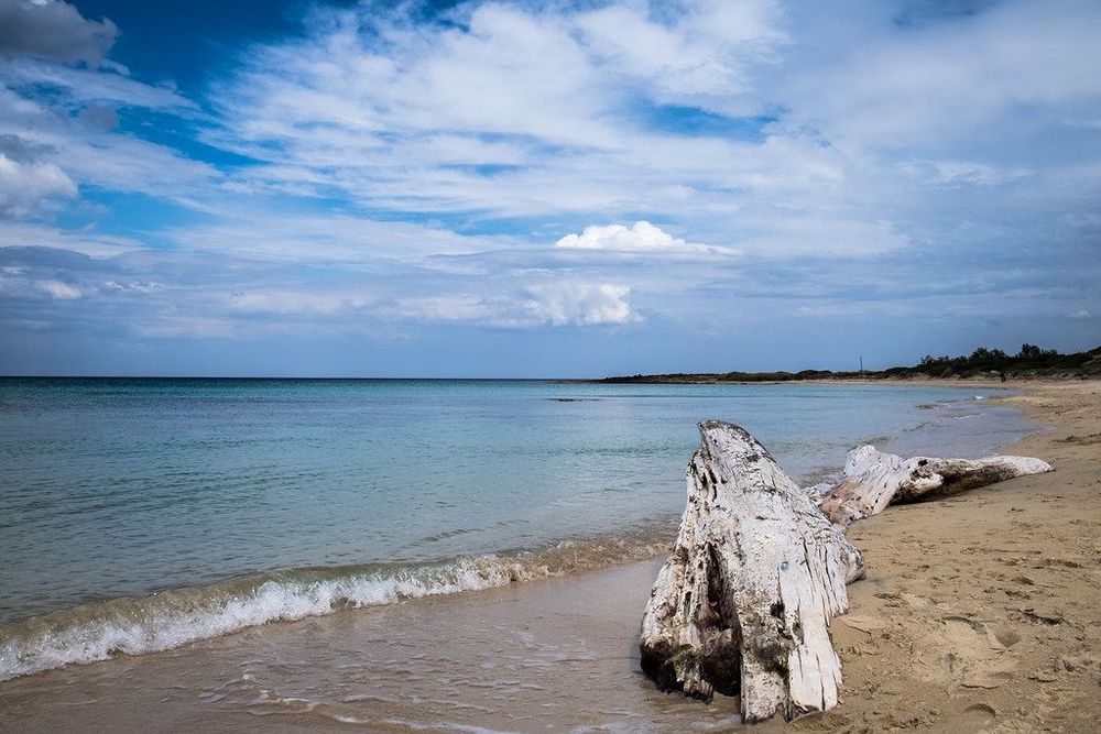 Torre Guaceto (Brindisi Province) in the Best Beaches in Puglia