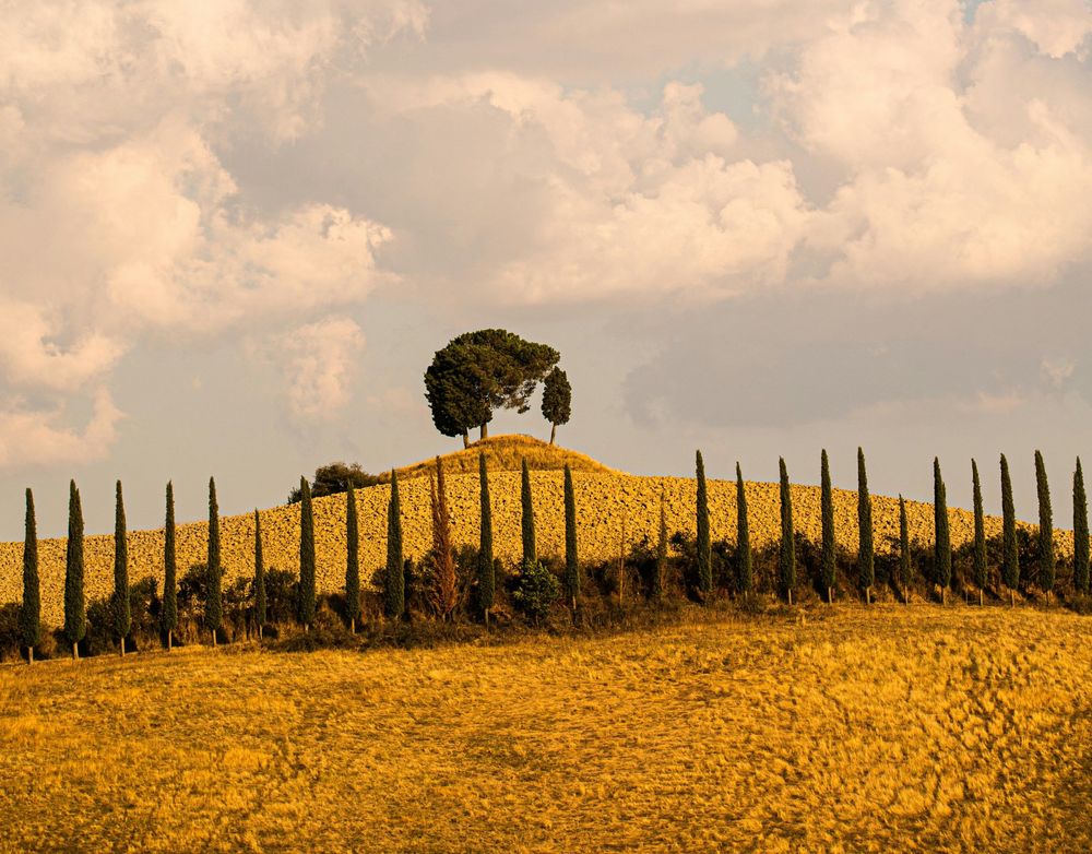 Tuscan hill during fall Tuscany Travel Tips