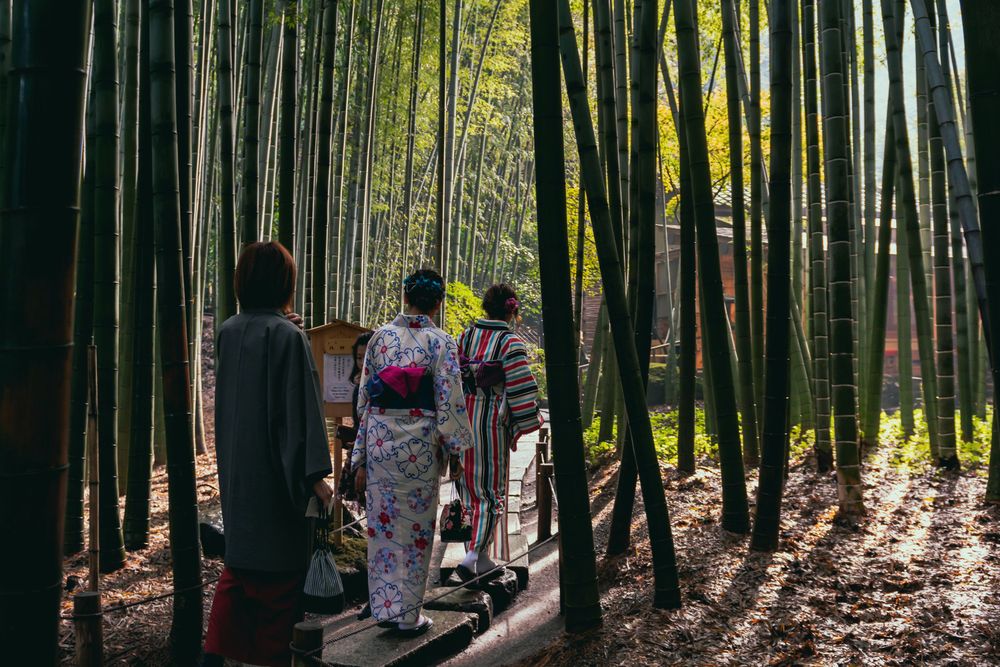 Arashiyama Bamboo Grove, one of the best photo spots in Japan