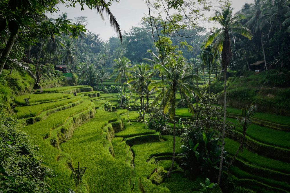 Bali, one of the best honeymoon destinations 
