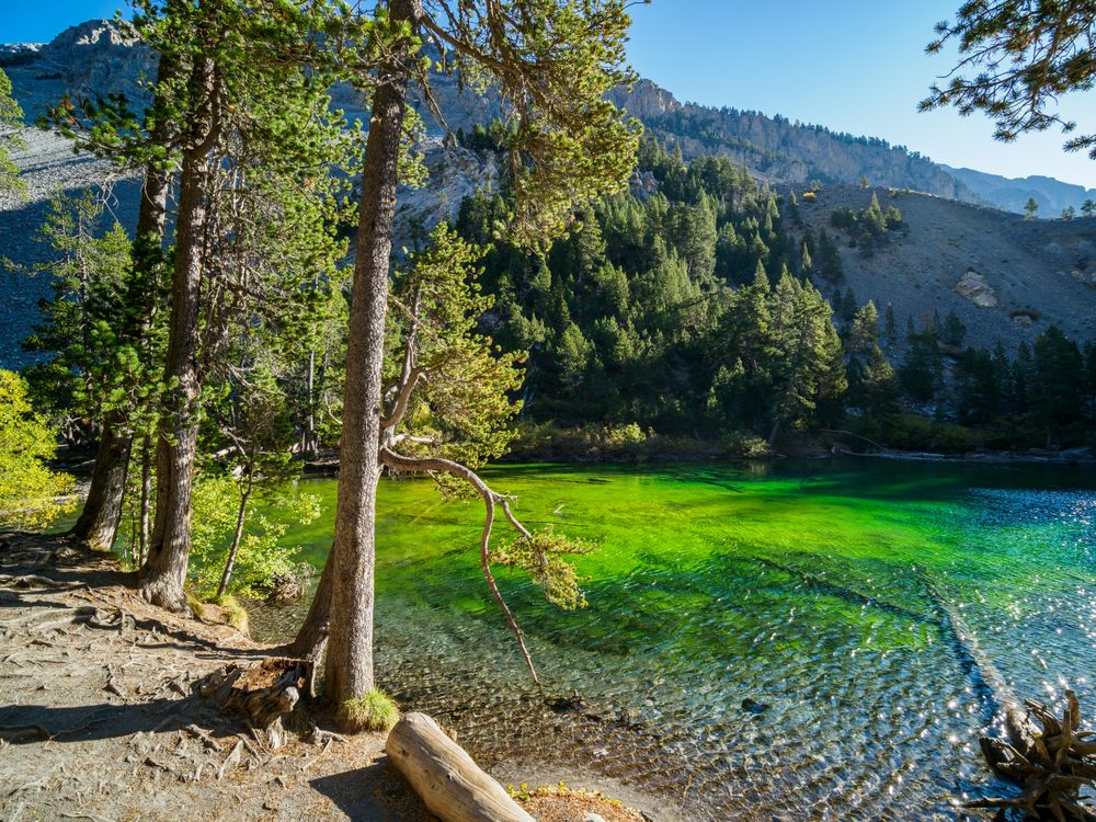 Top National Parks to Explore in Europe Ecru's national park