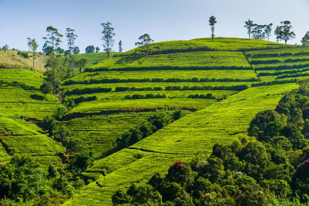 5 Secret Places in Sri Lanka: Destinations to Add to Your Itinerary