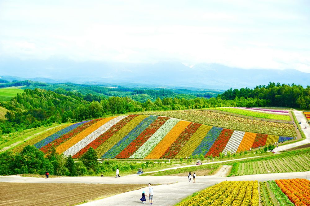 hokkaido top tourist attractions in japan.jpg