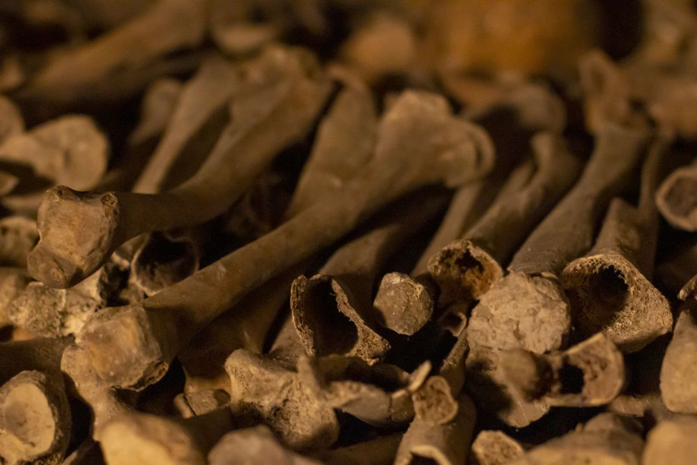 Unique places to see, bones at The Catacombs of Paris, France