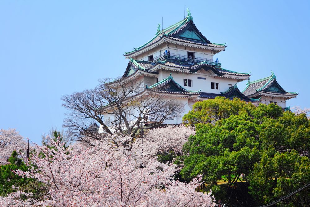 Wakayama in the perfect Spring Itinerary of Japan