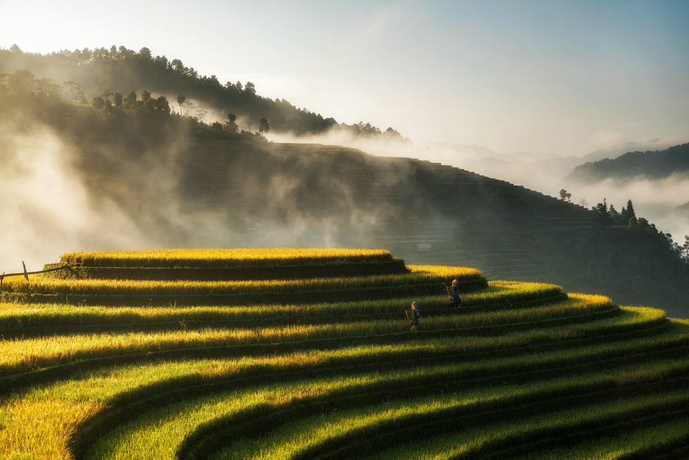 Landscape in Vietnam representing Vietnam Travel Blogs