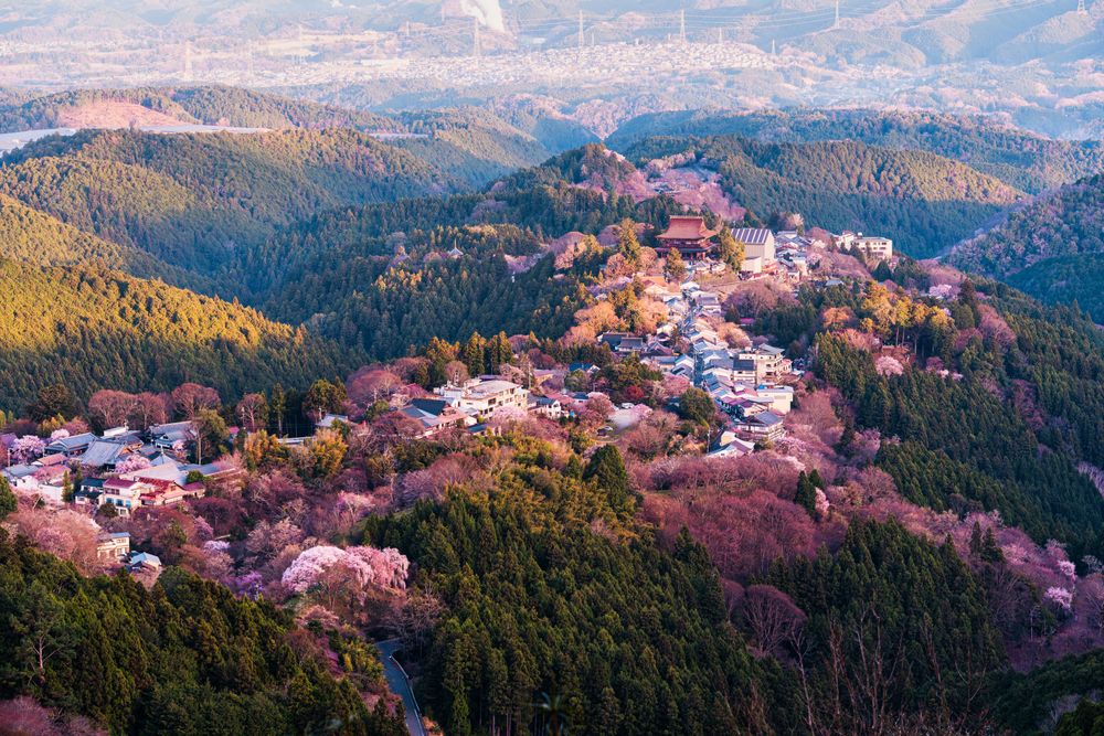 Mt. Yoshino in the best time to visit Japan