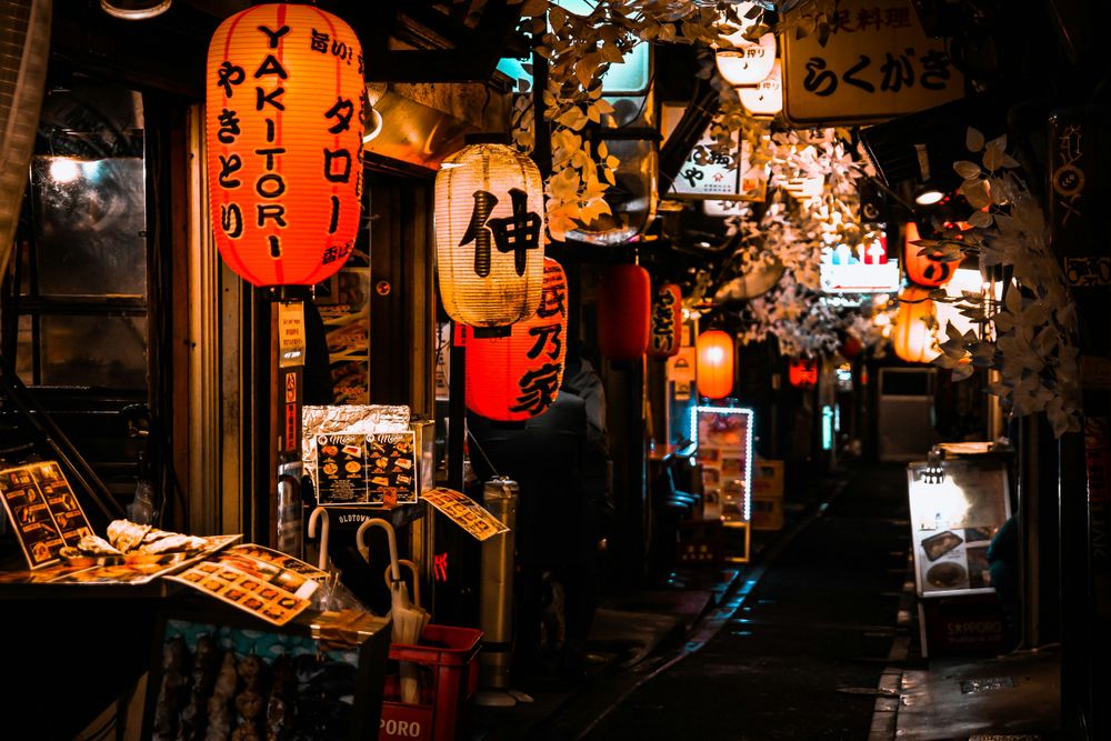 Omoide Yokocho, a must visit in Japan