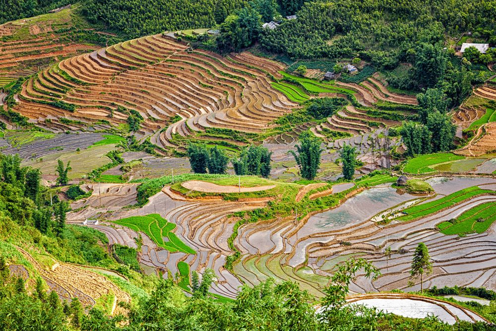  Fields in Sapa, Vietnam one of the Underrated Destinations in Asia