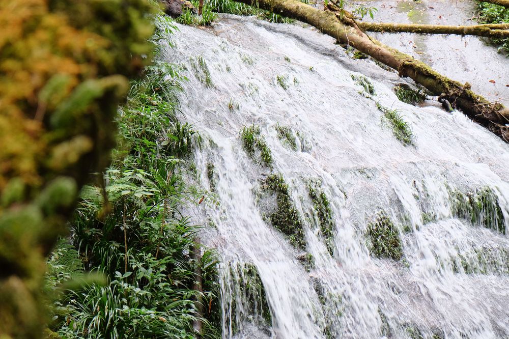 Kew Mae Pan Nature Trail in the Popular Hikes in Thailand
