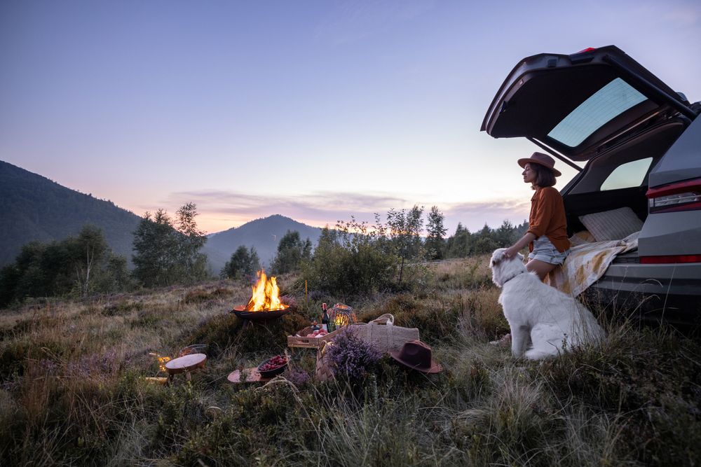 Woman traveling with a pet sitting on her car watching the mountains