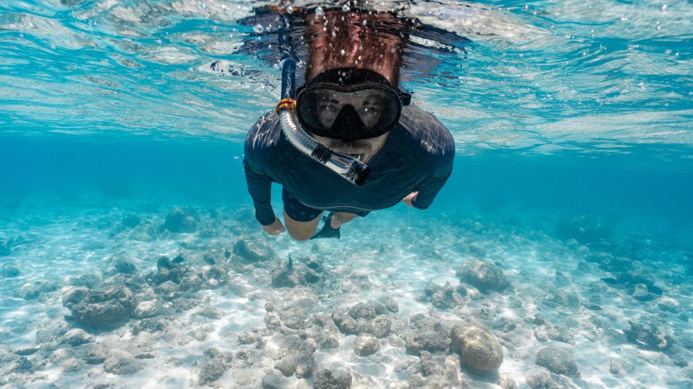 Hombre buceando en la Gran Barrera de Coral, un destino imprescindible en las ideas de viajes de aventura de Stippl