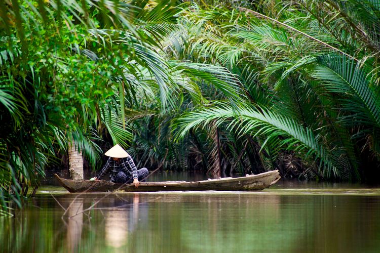 Vietnam Travel Blogs 12 Bloggers to Follow in 2025