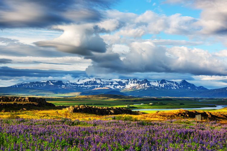 Travel Sustainably: 5 Easy and Effective Ways to Reduce Your Environmental Impact